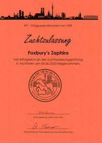 Foxbury&#039;s Zaphira Zuchtzulassung Aschheim 2023